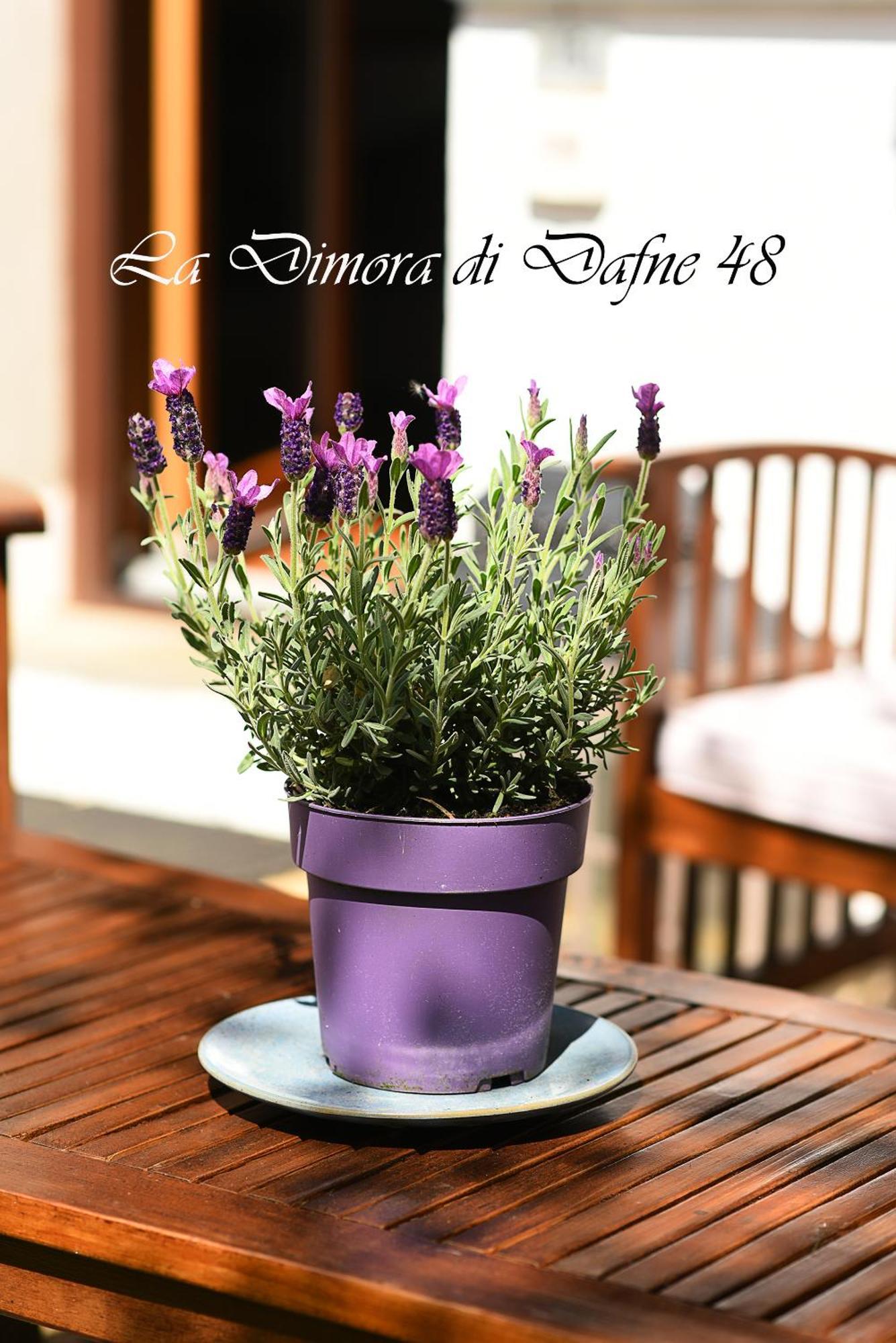 La Dimora Di Dafne 48 Apartment Monzuno Екстериор снимка